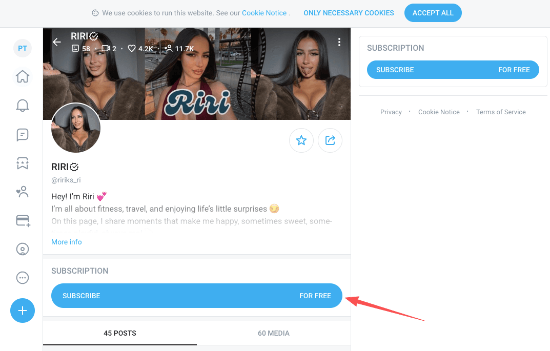 Locating the Subscription Button on OnlyFans Creator Profile.PNG